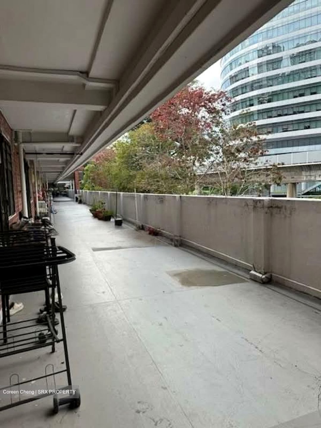 Holland Drive (D10), Shop House #553722281